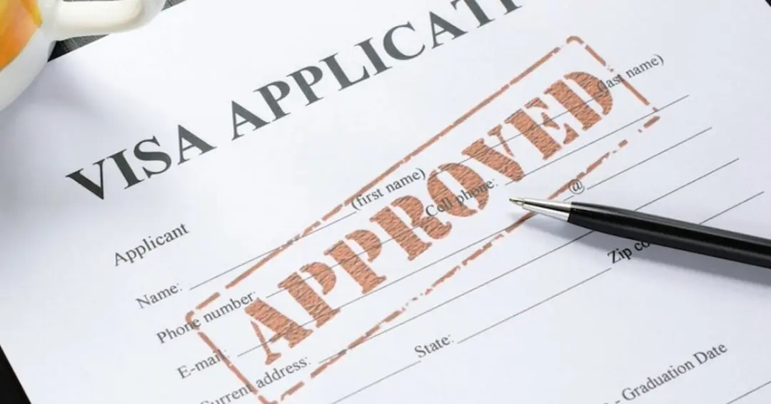 application process for a free zone visa in the UAE