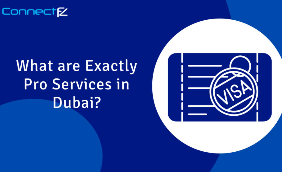 What are Exactly Pro Services in Dubai?