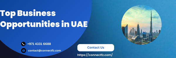 Top Business Opportunities in UAE