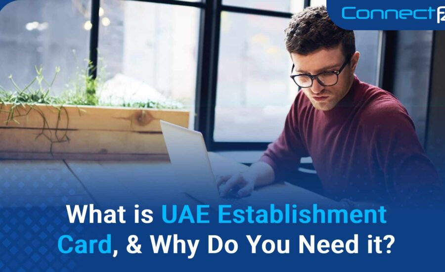 What is UAE Establishment Card, & Why Do You Need it?