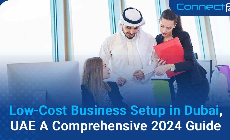 Low-Cost Business Setup in Dubai, UAE A Comprehensive 2024 Guide