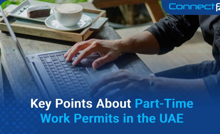 Key Points About Part-Time Work Permits in the UAE