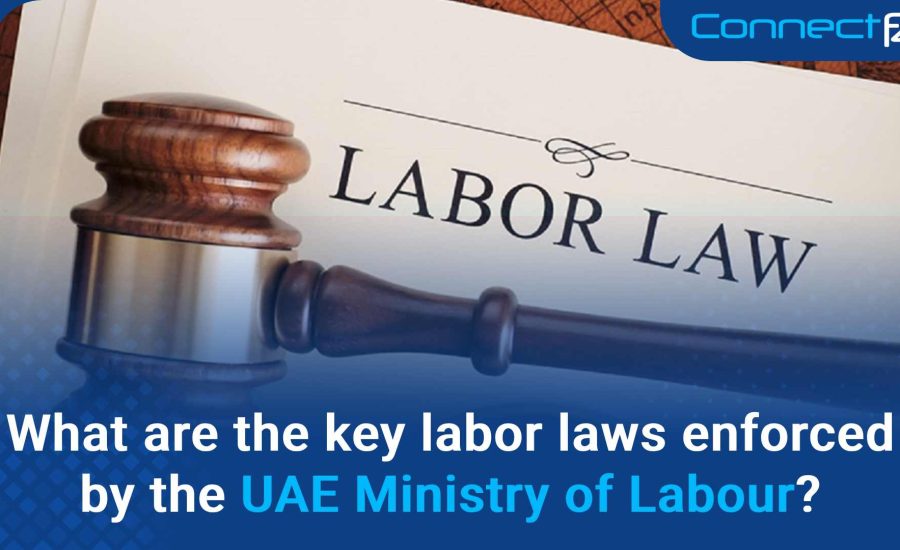 What are the key labor laws enforced by the UAE Ministry of Labour?