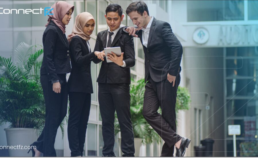 What Are PRO Services in UAE & Why Do Businesses Need Them?
