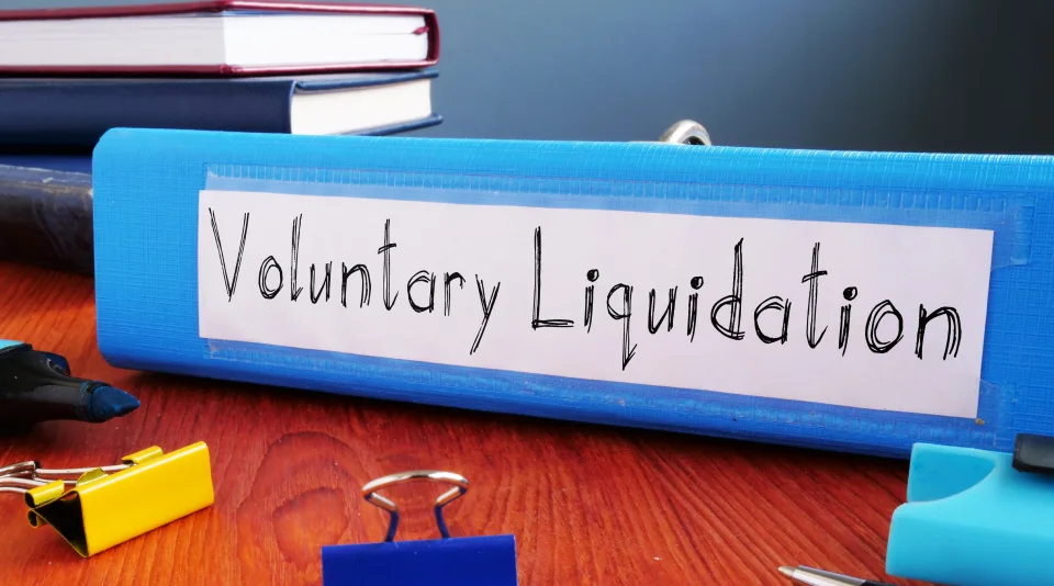 Voluntary-Liquidation